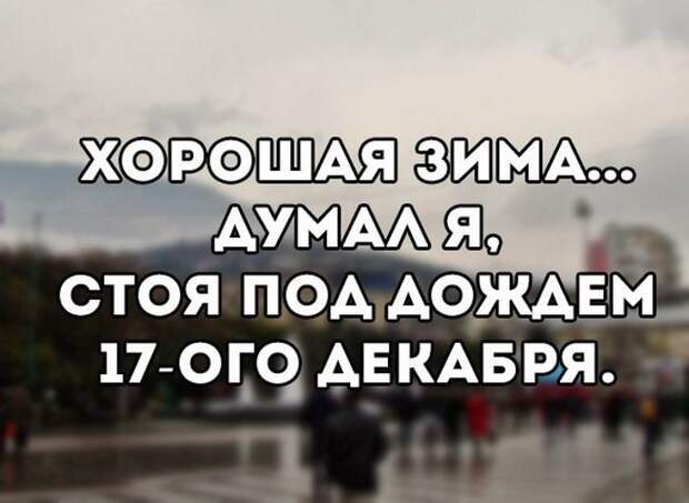 Картинки со смешными подписями