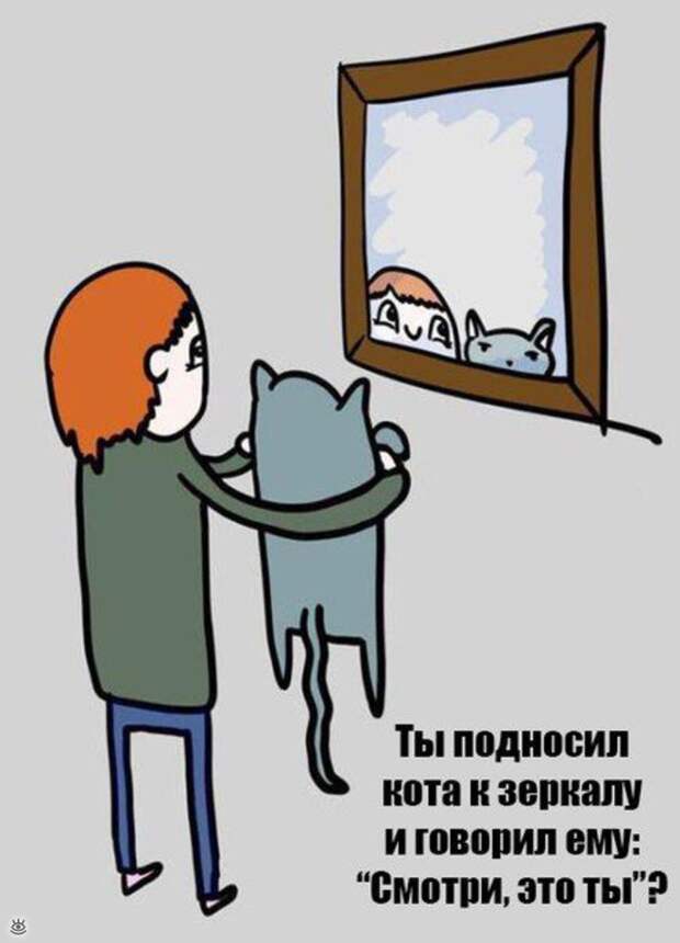 Весёлые картинки из жизни 6