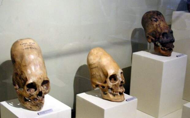 Древние майя практиковали искусственное удлинение черепа. /Фото: assets.atlasobscura.com