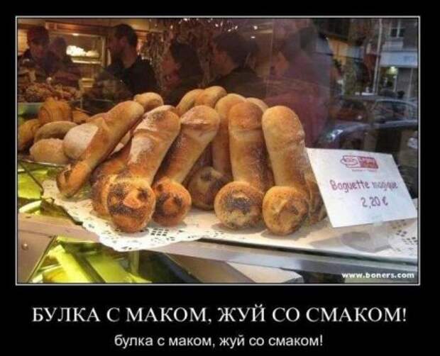 Демотиваторы про котэ и не только.