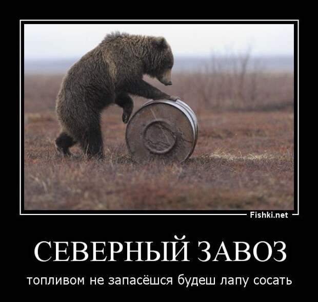 Демотиваторы демотиваторы, прикол, смех, юмор