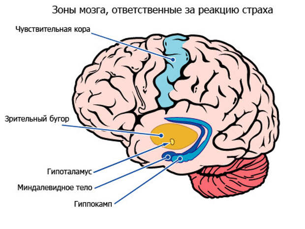 Мир после Квантового Перехода