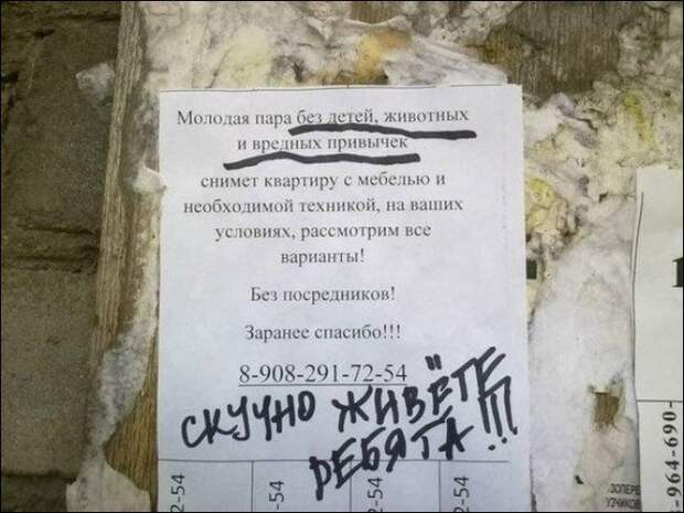 Прикольные надписи и объявления  надписи, объявления, юмор