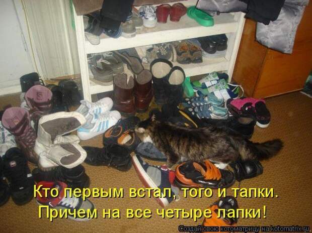 Мысли вслух :)