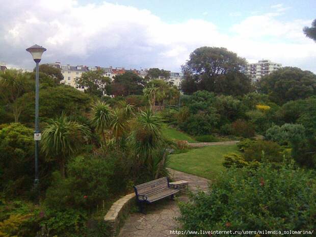 Image129 (700x525, 282Kb)