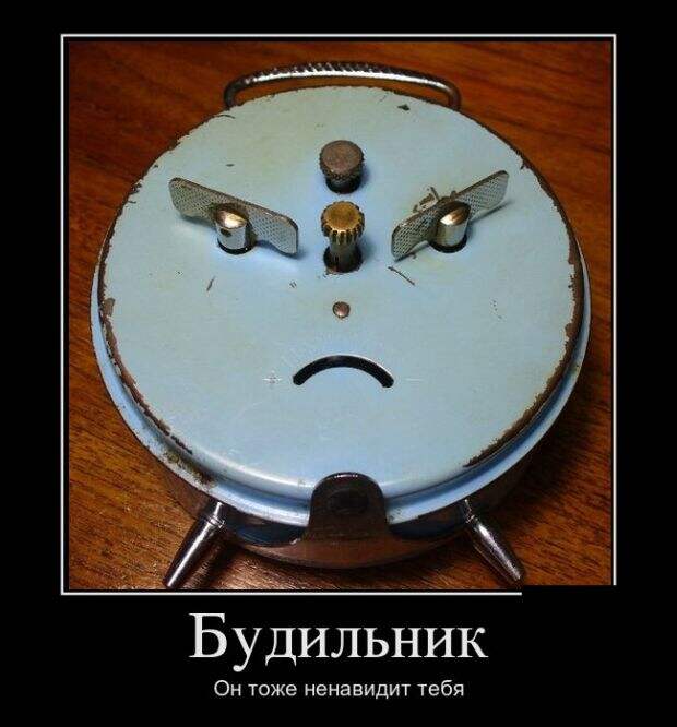 Демотиваторы (30 фото)