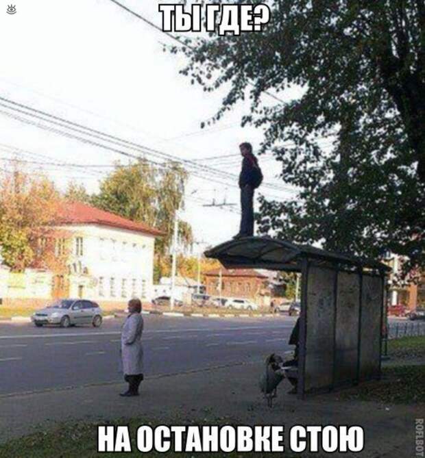 Самые разные курьёзы 25