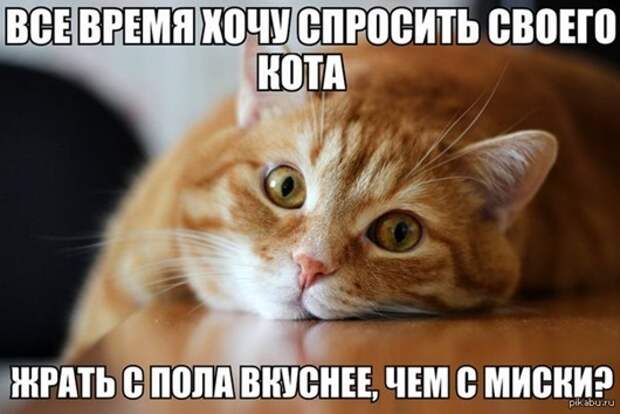 1377888726_1377856948_1307514479