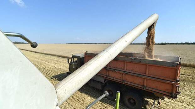 Эксперт оценил перспективы поставок российского зерна на рынки Азии и Африки