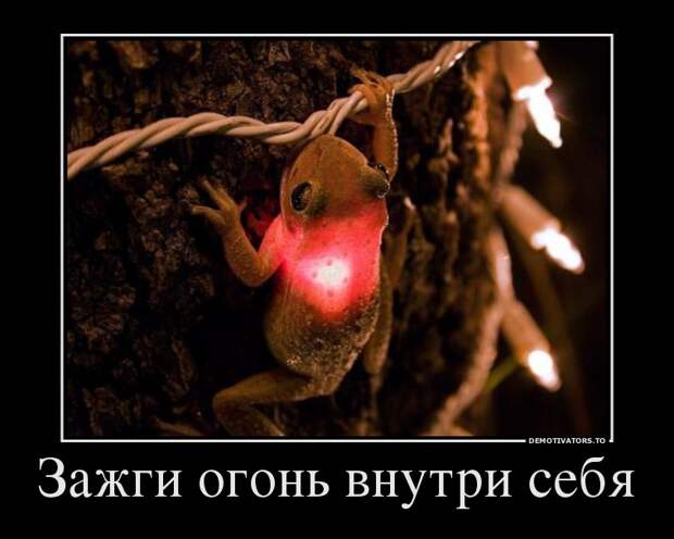 Демотиваторы демотиваторы, картинки, приколы