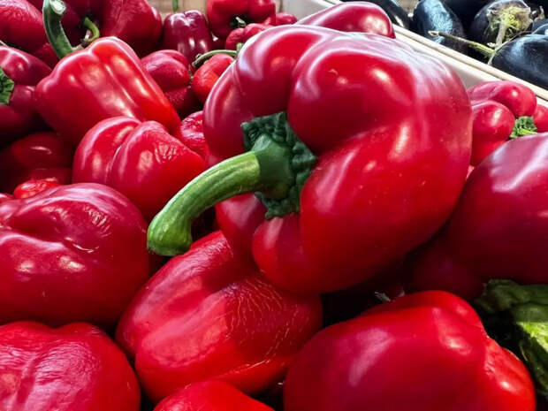 Лью 4 ложки под корень после 6 апреля — и рассада перца как лес: толстая, коренастая, зелёная