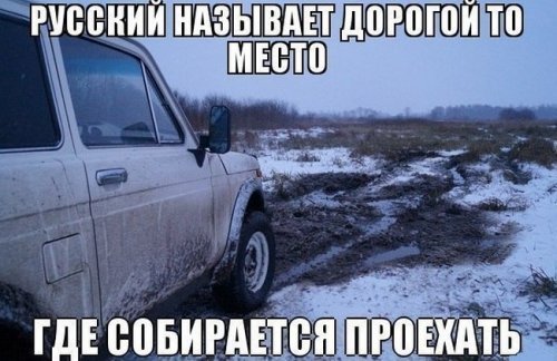 Весёлые картинки с юмором