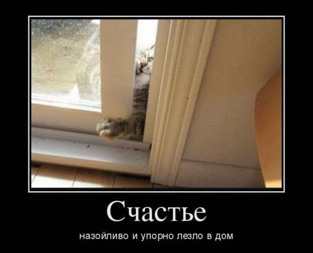 Демотиваторы (30 фото)