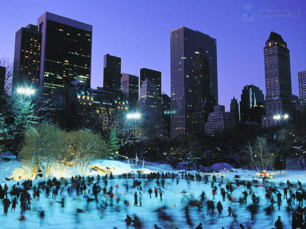 skaters-at-wollman-rink--central-park--new-york-city skaters-at-wollman-rink--central-park--new-york-city
