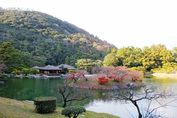 Осень в Японии 2015 2015 осень япония, алая осень японии, дегустация осени в японии, красные клены японии, момидзи, момидзи 2015, момидзи-гари, осень в японии, осень по-японски, осень-японии, тур в японию, японки, японская осень 2015