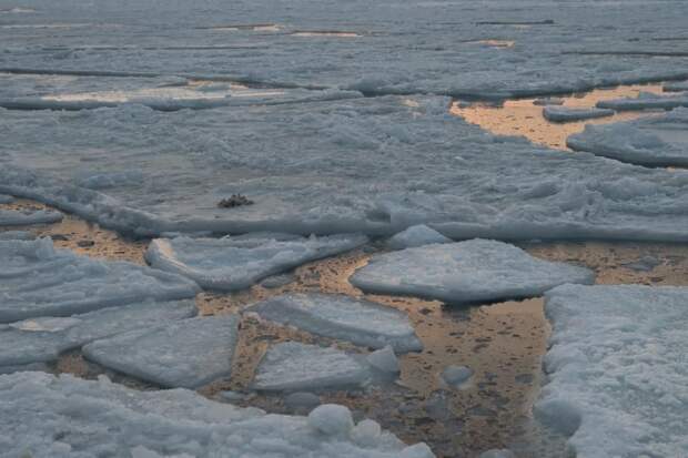 Автомобиль на берегу, ящик в море, а приморского рыбака ищут уже девять дней