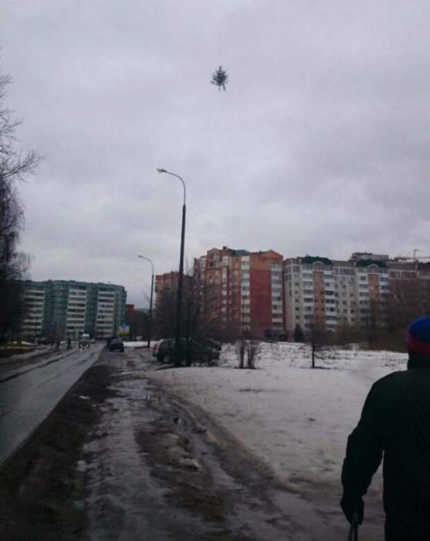 Картинки, юмор, приколы