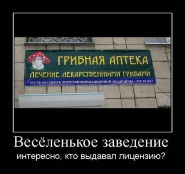Демотиваторы новые фото приколы и смешные.