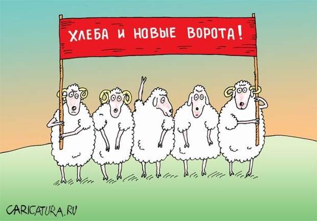 Новости Украины: голодные драки в Чернигове и все понимающие парламентарии Новости Украины: голодные драки в Чернигове и все понимающие парламентарии