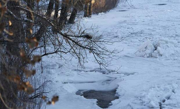 Выжившая час под водой Выжившая час под водой травмы, человек