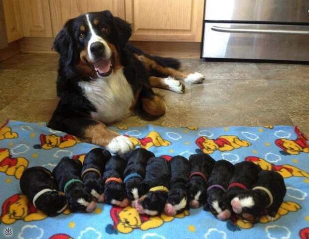 Забавные и позитивные фотки 12