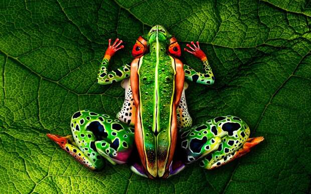 Bodyart03 Bodyart03 Сколько человек вы видите на картинке?
