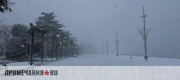 Ялта оказалась в снежном плену: на дорогах коллапс, городские службы перешли в режим повышенной готовности