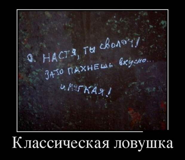 Демотиваторы (30 фото)