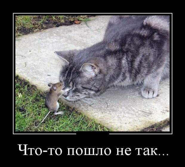 Демотиваторы (30 фото) Демотиваторы (30 фото)