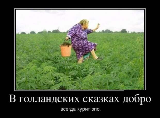Демотиваторы (30 фото)