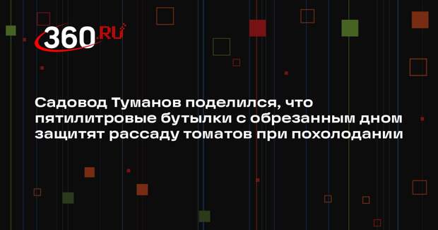 Садовод Туманов поделился, что пятилитровые бутылки с обрезанным дном защитят рассаду томатов при похолодании