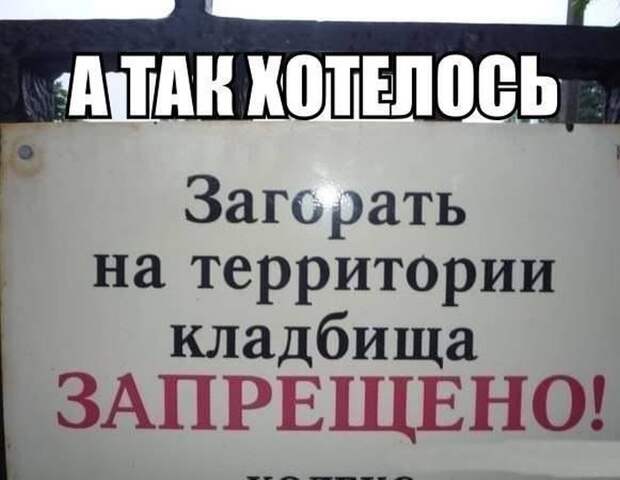 Смешные картинки с подписями катинки, прикол, юмор