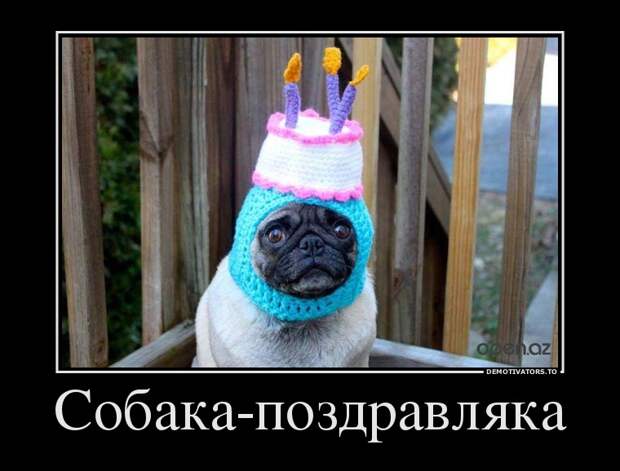 Демотиваторы демотиваторы