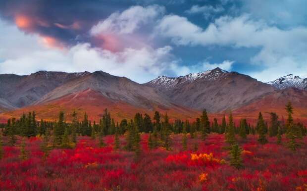 17 фотографий, доказывающих, что осень - самое красивое время года