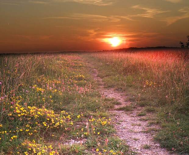 Фото жизнь - mondtag3106 - Пейзажи - По тропинке