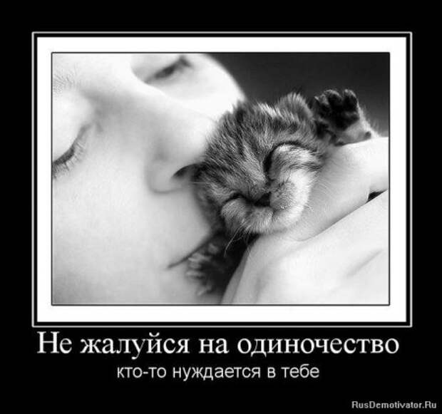 демотиваторы смысловые