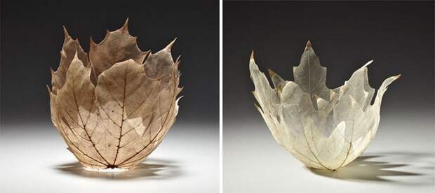 Невесомые чаши и вазы из скелетированных листьев: 