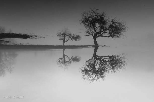 Финалисты конкурса лучших фотографий 2018 года из Instagram