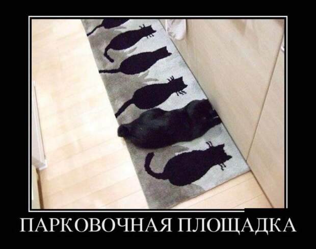 Демотиваторы №1069 (30 фото)