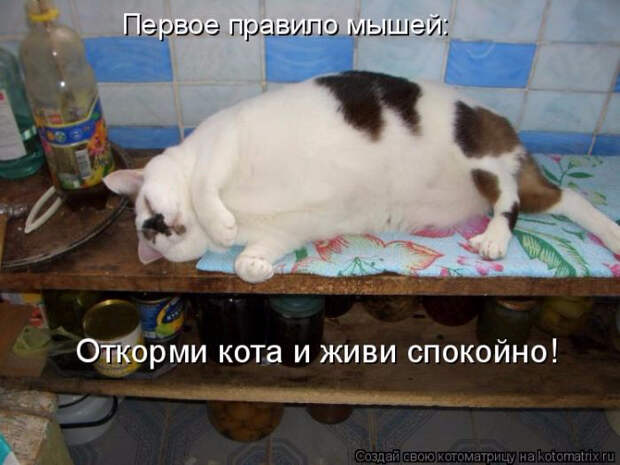 1429823382_32 (700x525, 272Kb)