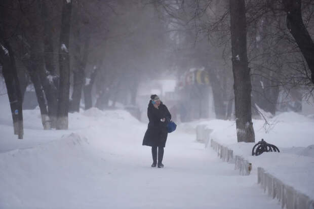 В России за 24 года в два раза выросло число живущих в одиночку людей