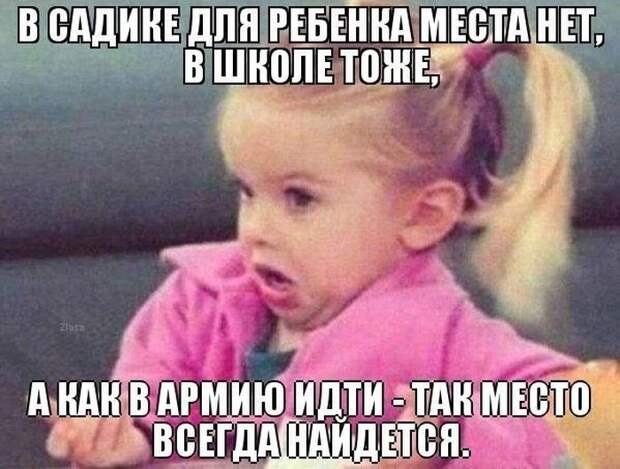 Смешные картинки с подписями катинки, прикол, юмор