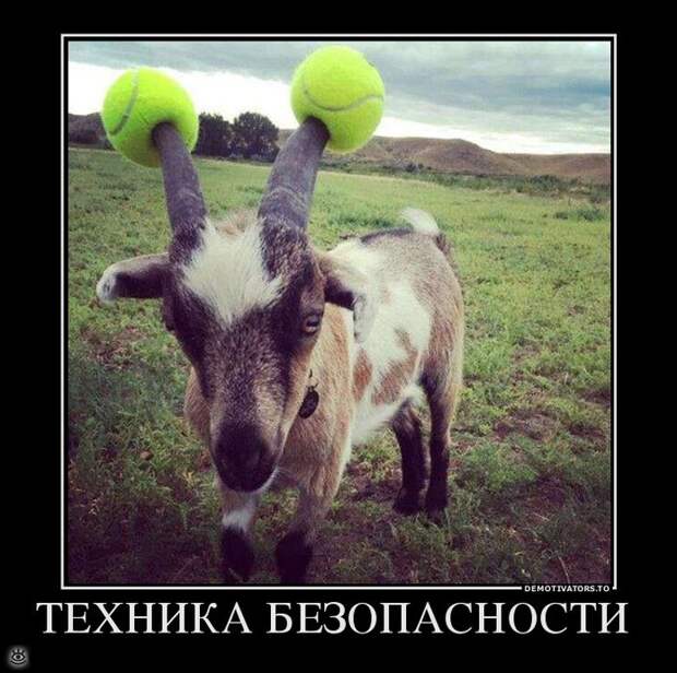 Всё относительно! 1