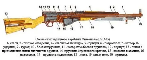 Что такое скс картинки