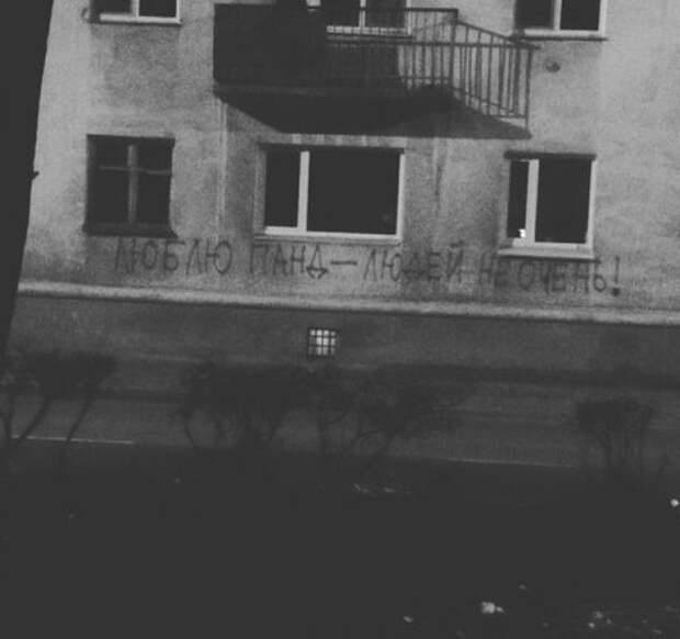 Работа не волк, фото приколы тоже не волк.