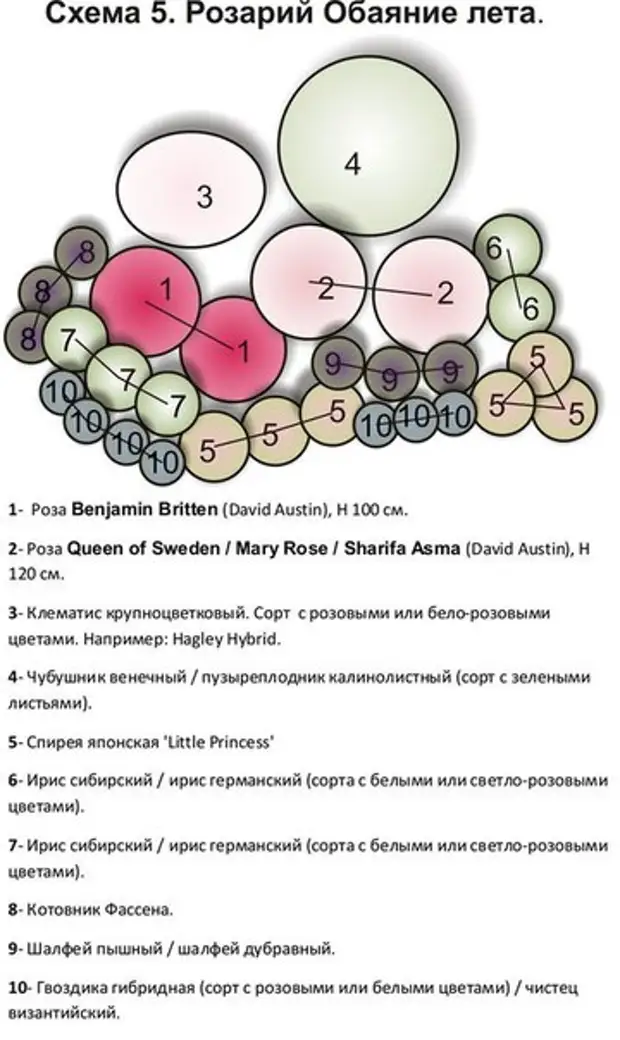 Схемы розариев с названиями и описанием