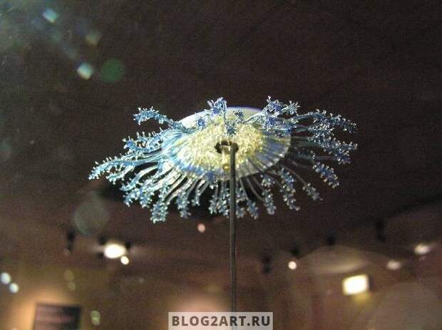 JellyFish005