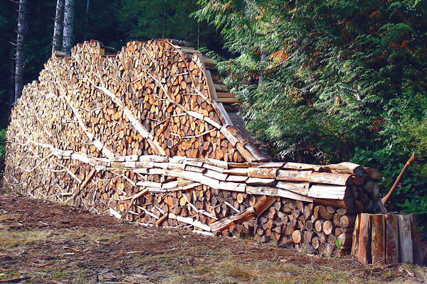 Art created by pile of wood