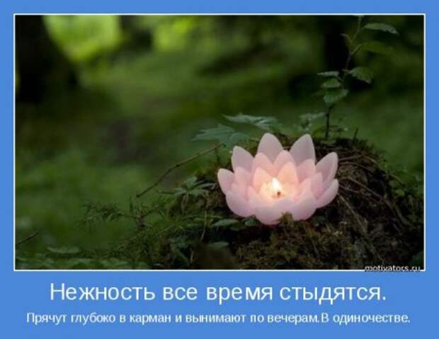 Побеждаем себя. Мотиваторы.