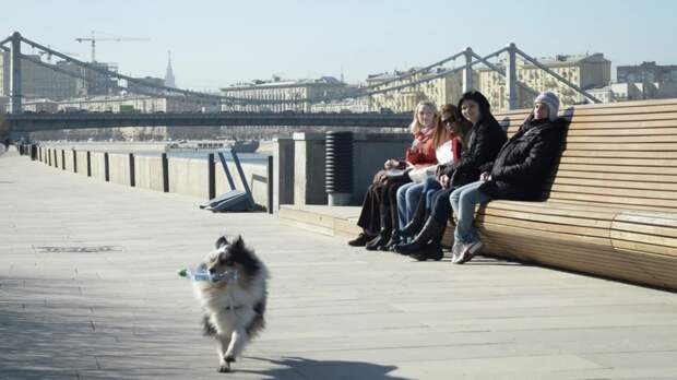 Синоптик Шувалов: погода в Москве будет превышать климатическую норму